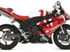 Yamaha YZF1000 R1 10th Anniversery Haga Replica